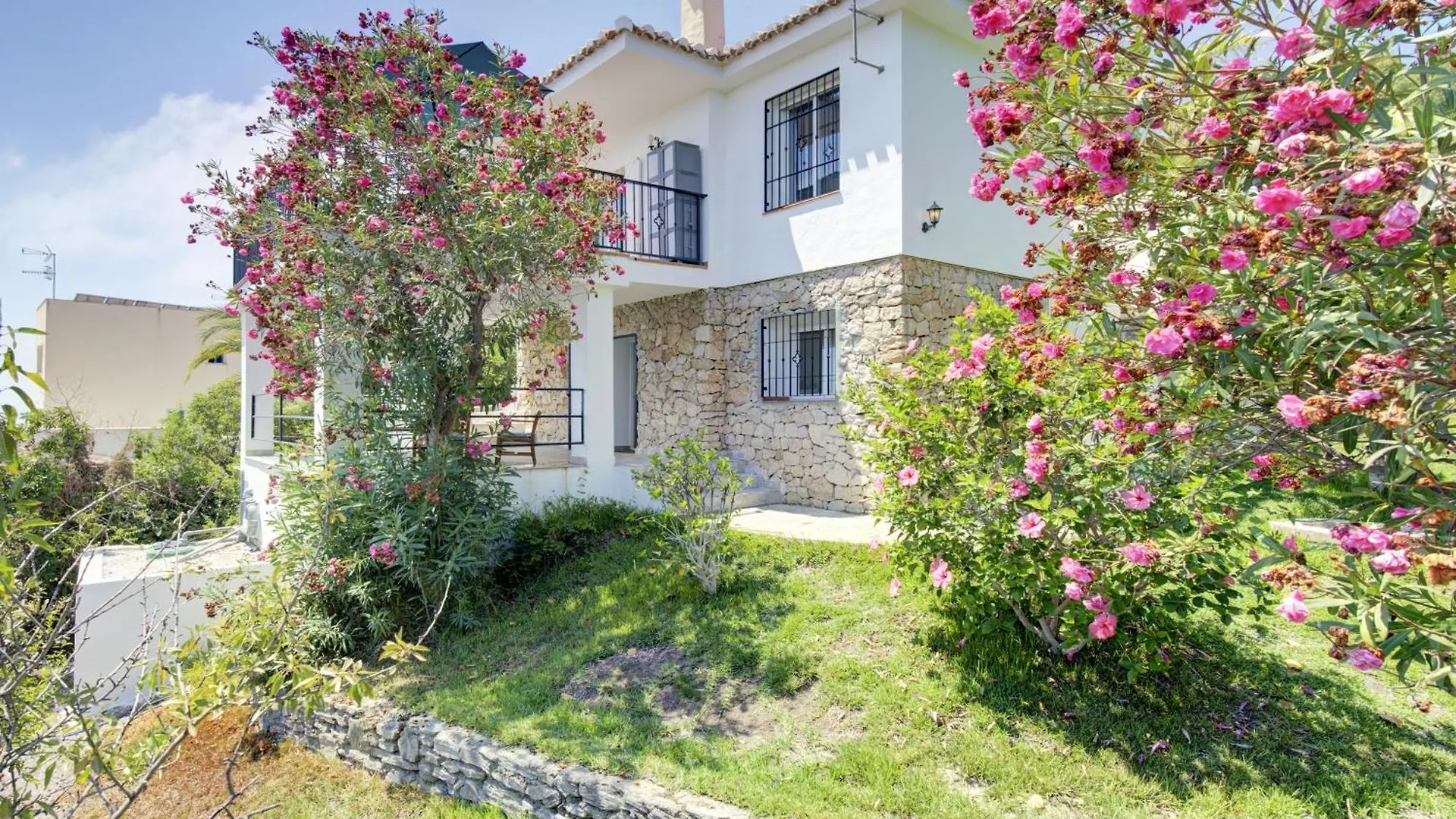 Comeback Petite Fleur Salobrena Spain
